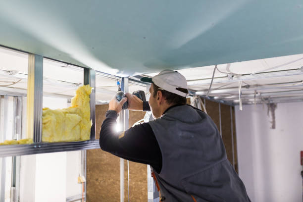 Best Insulation Installation Services in Bound Brook, NJ